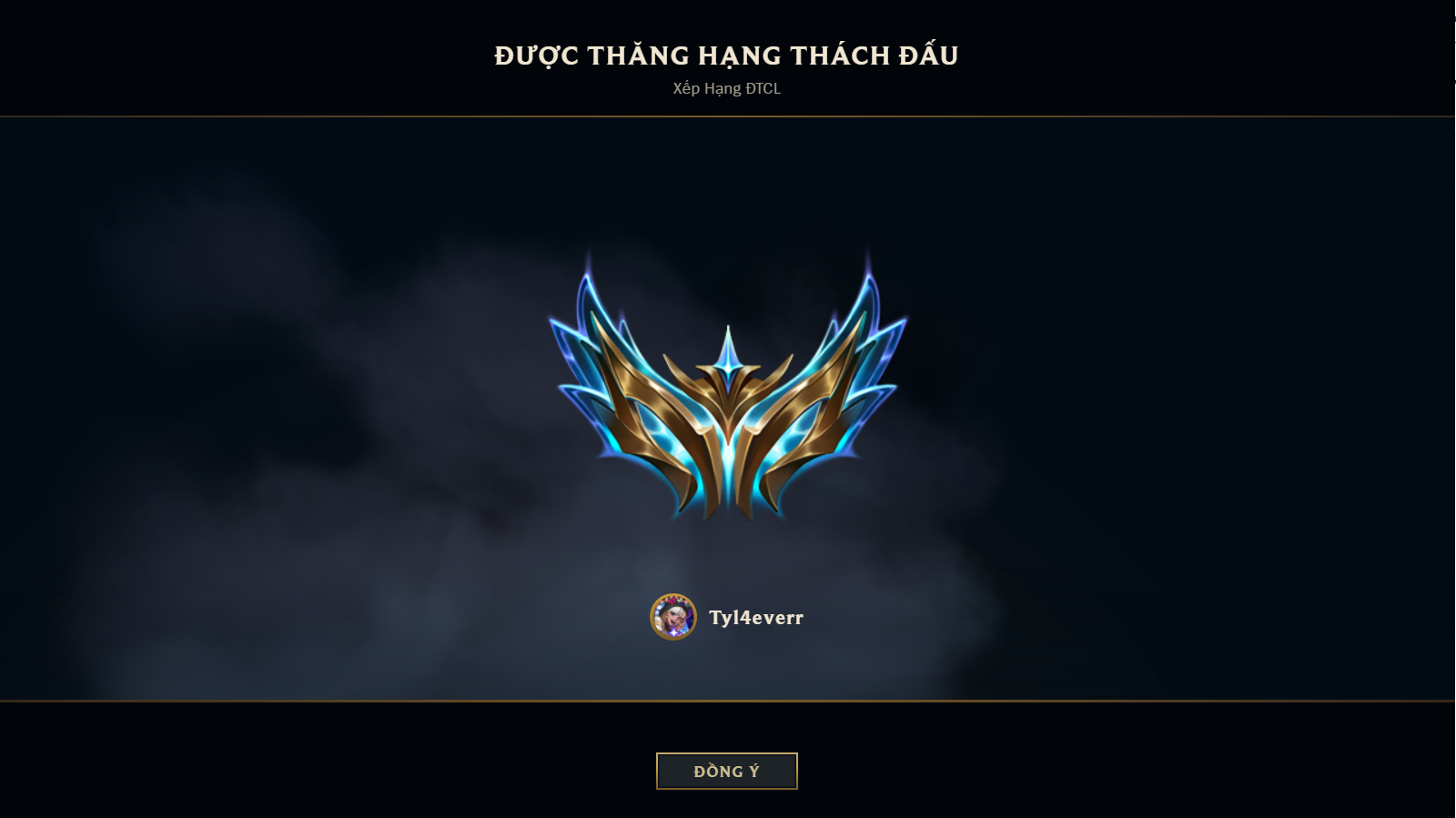Banner profile